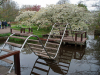 Netherlands