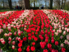 Netherlands