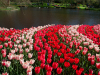 Netherlands