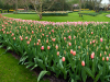 Netherlands