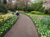Netherlands