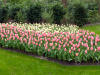 Netherlands