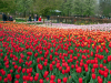 Netherlands