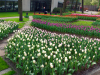 Netherlands