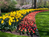 Netherlands