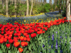 Netherlands