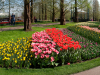Netherlands