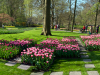 Netherlands