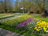 Netherlands