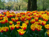 Netherlands