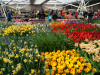 Netherlands
