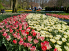 Netherlands