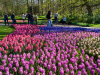 Netherlands