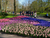 Netherlands