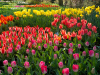 Netherlands
