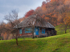 Горгани