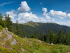 Горгани
