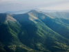 Горгани