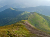 Горгани