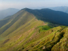 Горгани