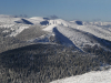 Горгани