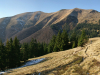 Горгани