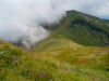 Горгани