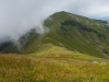 Горгани