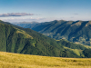 Горгани