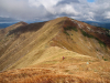 Горгани