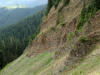 Горгани