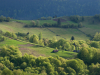 Горгани