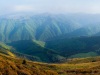 Горгани