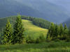 Мармароський масив