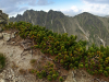 High Tatras © Igor Melika