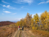Хребет Явірник