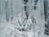 Полонинський хребет