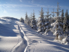 © Ігор Меліка