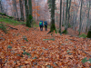 My Carpathians © Igor Melika