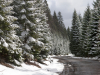 My Carpathians © Igor Melika