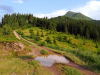 My Carpathians © Igor Melika