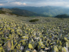My Carpathians © Igor Melika