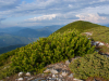 My Carpathians © Igor Melika
