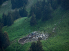 My Carpathians © Igor Melika