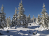 My Carpathians © Igor Melika