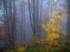 My Carpathians © Igor Melika