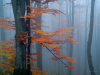 My Carpathians © Igor Melika