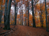 My Carpathians © Igor Melika