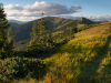 My Carpathians © Igor Melika