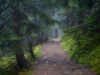 My Carpathians © Igor Melika